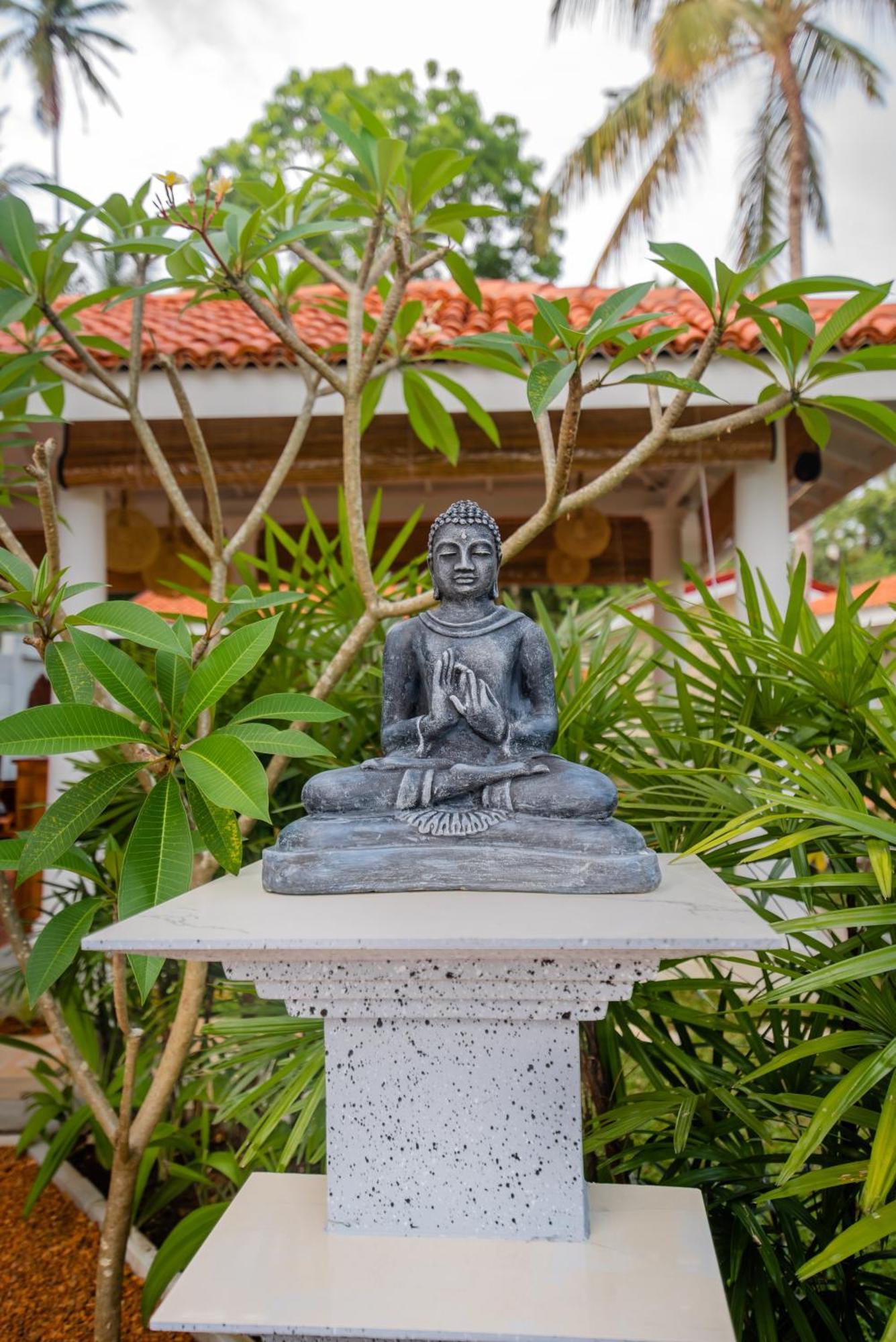 Tree Of Life Resort Bentota Exterior photo